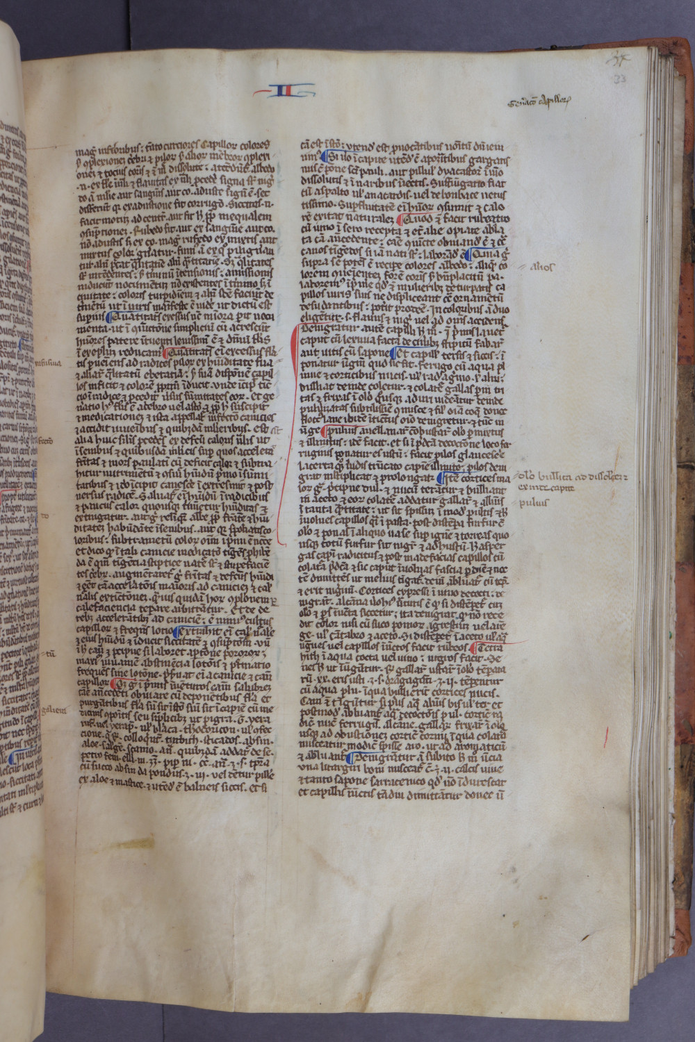 Folio 33 recto